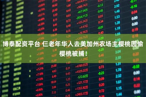 博泰配资平台 仨老年华人去美加州农场主樱桃园偷樱桃被捕！