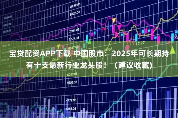 宝贷配资APP下载 中国股市：2025年可长期持有十支最新行业龙头股！（建议收藏)