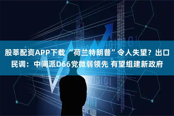 股莘配资APP下载 “荷兰特朗普”令人失望？出口民调：中间派D66党微弱领先 有望组建新政府