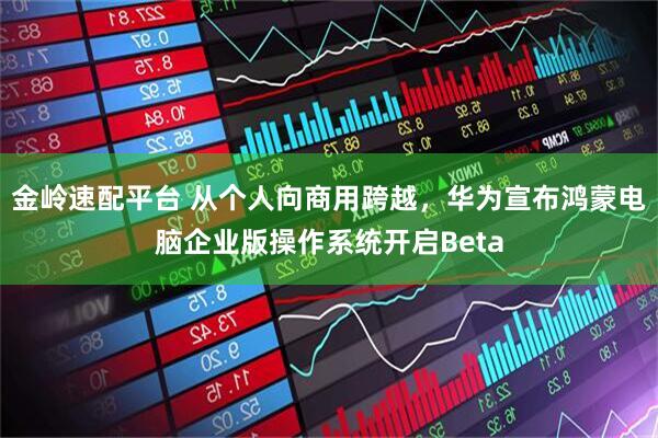 金岭速配平台 从个人向商用跨越，华为宣布鸿蒙电脑企业版操作系统开启Beta